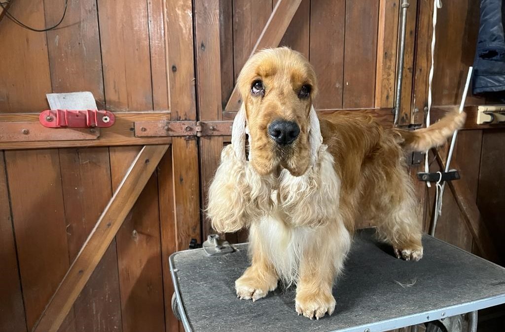 Filippo