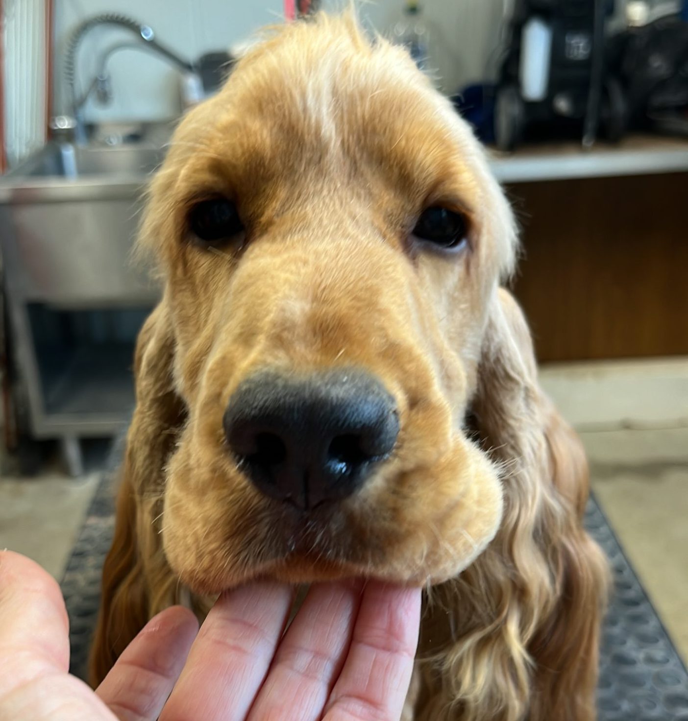 128A33BE-B8EC-47E2-8B51-88716943953A